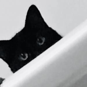 Meet your Posher, Jerriann